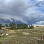 A storm cell moves through southeast of Delisle, Sask.