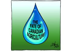 Waiting for a rainy day? We should be so lucky