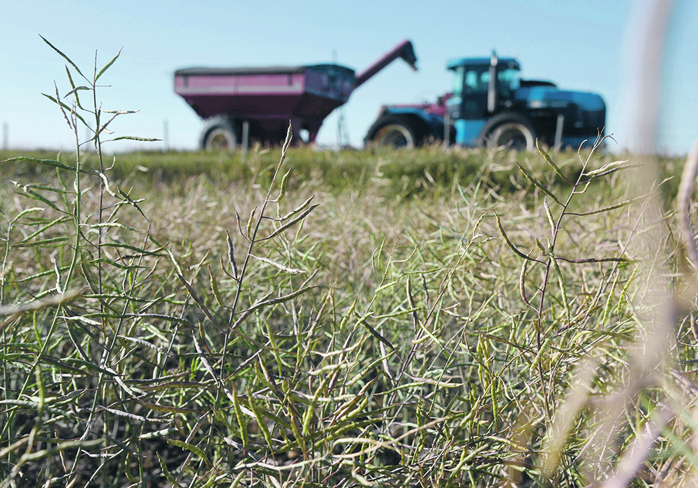 The total premium amount for the previous year was stuck in my head and I wasn’t prepared for this new total based on higher grain prices and a major change in how premiums are calculated. | File photo