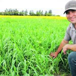 Adam Smith of Covers & Co. kneels in front of a cover crop plot.