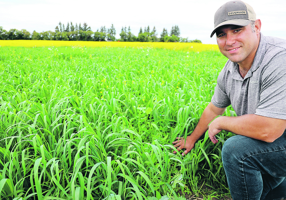 Adam Smith of Covers & Co. kneels in front of a cover crop plot.
