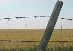 Provincial governments in Alberta have spent almost 30 years paving the way for renewable energy expansion, but the current government now says it must become better informed about renewable energy developments on specific types of agricultural and environmental lands, their impacts on landscapes, reclamation processes and how it fits into grid reliability.  |  Doug Ferguson photo