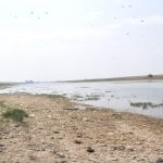 Water levels in the Bow River are very low.