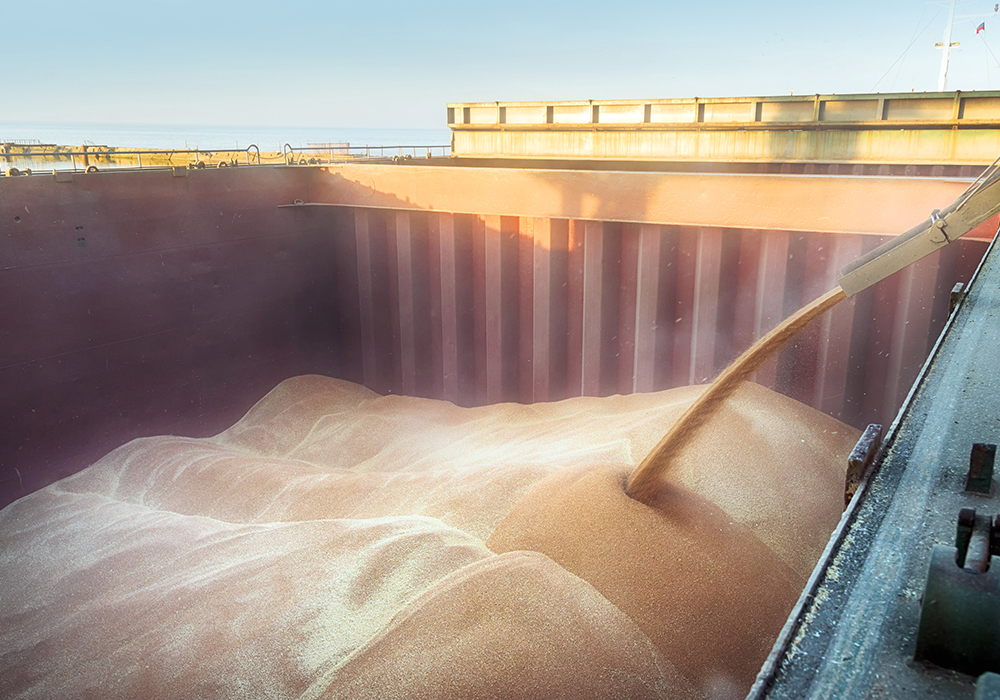 Almost everyone in American agriculture will be dealing with lower prices, shrinking profits and tighter belts for much of the upcoming marketing year. | Getty Images