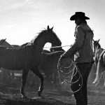 Corral, which the National Film Board released in 1954, follows cowboy Wallace Jensen’s efforts to tame a horse. | National Film Board photo