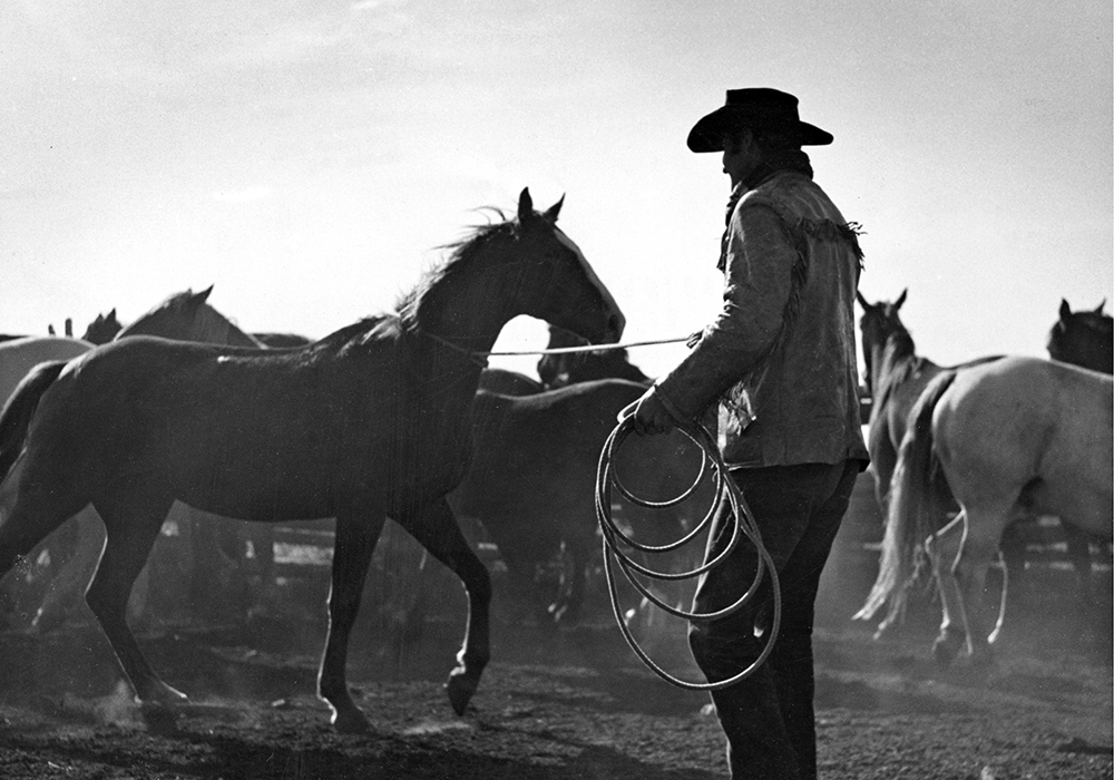 Corral, which the National Film Board released in 1954, follows cowboy Wallace Jensen’s efforts to tame a horse. | National Film Board photo