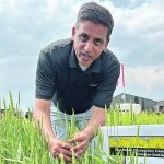 Raju Soolanayakanahally of Agriculture Canada was showing old and new wheat varieties during the Ag in Motion farm show earlier this summer. | Ed White photo