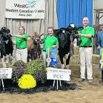 Team B.C.’s Jasmine Lemke, left, and Team Saskatchewan’s Taylia Rees and Ethan Neinhuis show off their award winning cattle. Neinhuis took home the grand champion award. | Photo courtesy of Nancy Friesen