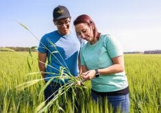 The partnership between the farming company and the post-secondary institution will include joint efforts in farming, precision agriculture, student development, research and economic growth. | Screencap via OldsCollege.ca