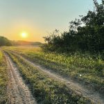 A dirt path runs through some trees with the setting sun in the distance.