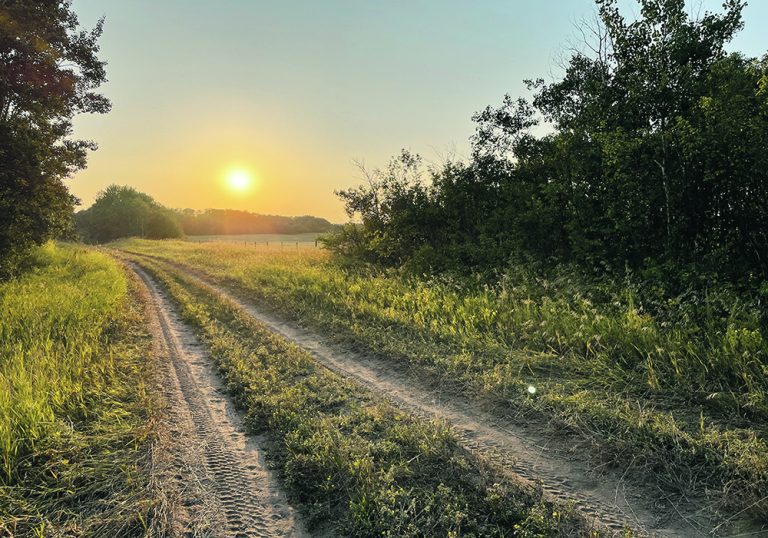 Three main ways to rent farmland have pros and cons The Western Producer