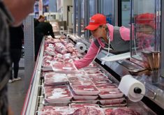 This summer Nathan Phinney, president of the Canadian Cattle Association, spoke about the federal government allowing the United Kingdom to join the Comprehensive and Progressive Trans Pacific Partnership trade deal. Beef and pork producers are extremely frustrated that the U.K. is joining the CPTPP because the Brits will not recognize the safety of Canada's food system. "Our government is moving ahead with it," Phinney said. "We're expected to just carry on and move forward. Well, that's not happening." | File photo