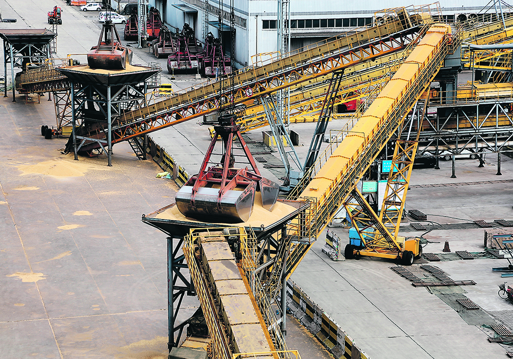 Cranes unload soybeans imported from Brazil at a port in Lianyungang, China. While Chinese imports have fallen in the last year, soybean imports reached 9.7 million tonnes in July, a 15 percent increase over the previous July.  |  Reuters photo