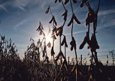 Argentina is expecting a welcome reprieve from three consecutive years of La Nina, it is still recovering from the worst drought in 60 years. | Reuters photo