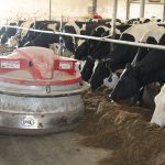 Two studies focus on how beef and dairy producer well-being is affected by farm management and animal health. A third study will assess the impact on producer well-being as they install and adjust to robots on dairy farms. | File photo