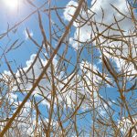 Overall, August weather on the Prairies saw near-average temperatures in the east, warming to above-average as you travel west. Precipitation was below average in most locations, with a few areas seeing near average. | File photo