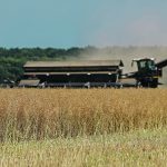 The Ukrainian government expects farmers to plant 4.69 million acres of winter canola this fall following a record harvest this summer. | Reuters/ Valentyn Ogirenko photo