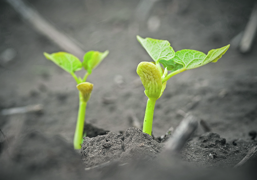The Leading Harvest standard is broader than environmental goals.   |  File photo