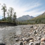 Flow rates for the Oldman and Bow rivers were affected by a spring heat wave that saw mountain headwaters melt while precipitation remained elusive all season. | File photo