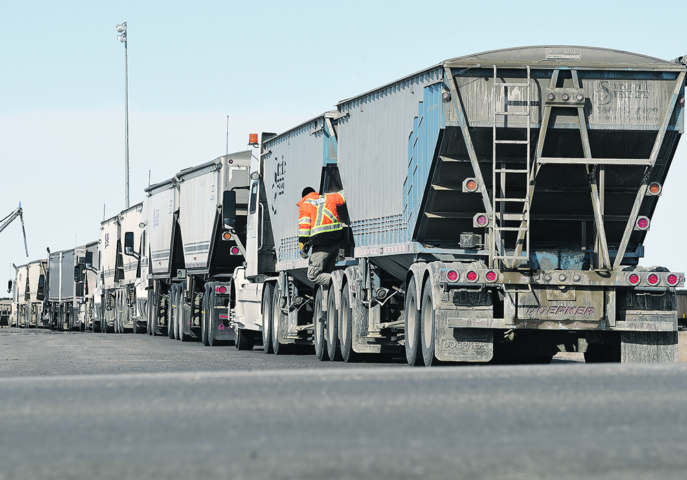 Ukrainian newcomers fleeing Russia’s war on the Ukraine work on farms across the prairie provinces. But many grain farms seek employees with a Class 1 drivers’ licence, which takes time and money to obtain.  |  File photo