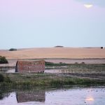A collapsing, old wooden barn sits next to a steel grain bin on some land surrounded by a slough.