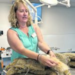 University of Calgary vet school instructor Lisa Colangeli says vets and technicians have been under intense stress since the pandemic. | Ed White photo