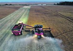 Dallas Thacker, part owner of Thacker Harvesting, working near Tisdale last week.  |  Dallas Thacker photo