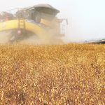 India is a major market for Canadian farm products including pulses, but there is a testy relationship between the governments of the two countries. | File photo