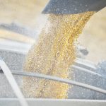 Corn is augered from a combine into a waiting grain truck to be hauled away.