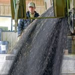 A farmer delivers canola to the Gardner Dam Terminal.