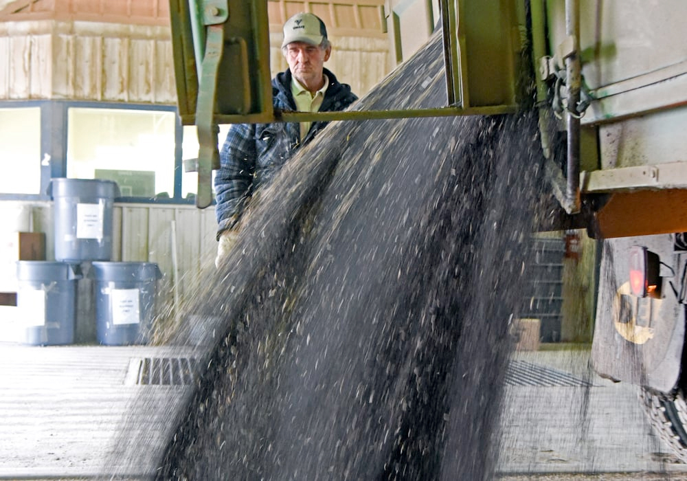 A farmer delivers canola to the Gardner Dam Terminal.