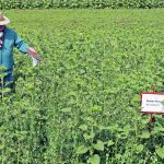Bill May discusses possible cover crop combinations during a field day at Indian Head earlier this summer. | Karen Briere photo