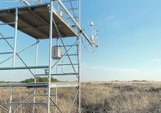 Research from Ducks Unlimited Canada (DUC) suggests that wetlands in Western Canada produce less methane than wetlands in warmer climates like Missouri.  |  Ducks Unlimited photo