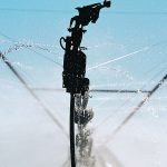 Close-up of a sprinkler shooting water on the end of a section of pivot irrigation.