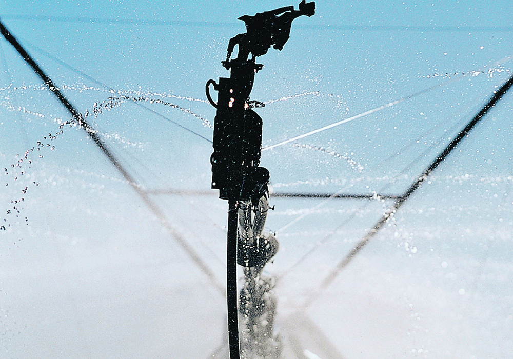 Close-up of a sprinkler shooting water on the end of a section of pivot irrigation.