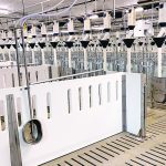 In one wing of the finishing area, researchers use a specialized feed dispenser capable of measuring individual pig intake and feeding habits using RFID technology, allowing for a more accurate correlation between intake, gain and quality. | Diana Martin photo