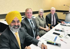 Candidates from Manitoba’s main political parties discuss their parties’ agricultural platforms during an election forum held by the Manitoba Farm Writers and Broadcasters Association Sept. 12. From left to right: Diljeet Brar, NDP; Derek Johnson, PC; Janine Gibson, Green; Neil Stewart, Liberal.  |  Ed White photo