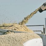 Kyle Hebert, District 1 director for the Saskatchewan Cattlemen’s Association and owner of Hebert Livestock Ventures, does custom silage work in the southeast corner of the province. He’s seen tonnage between three and nine tonnes per acre for barley silage this year. | File photo
