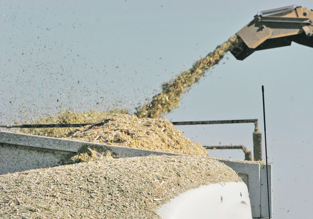 Kyle Hebert, District 1 director for the Saskatchewan Cattlemen’s Association and owner of Hebert Livestock Ventures, does custom silage work in the southeast corner of the province. He’s seen tonnage between three and nine tonnes per acre for barley silage this year. | File photo