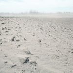 El Nino is a warming of ocean surface temperatures in the eastern and central Pacific, and can provoke extreme weather phenomena from wildfires to tropical cyclones and prolonged droughts. | File photo