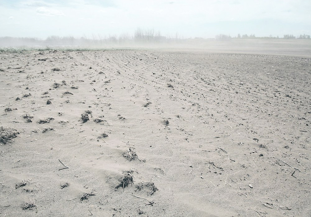 El Nino is a warming of ocean surface temperatures in the eastern and central Pacific, and can provoke extreme weather phenomena from wildfires to tropical cyclones and prolonged droughts. | File photo