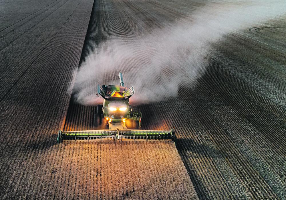 Modern wheat varieties contain genetic characteristics of the original domesticated variety of einkorn. Researchers at the Global Institute for Food Security at the University of Saskatchewan are sequencing einkorn to look for traits beneficial in a warmer environment.  |  FIle photo