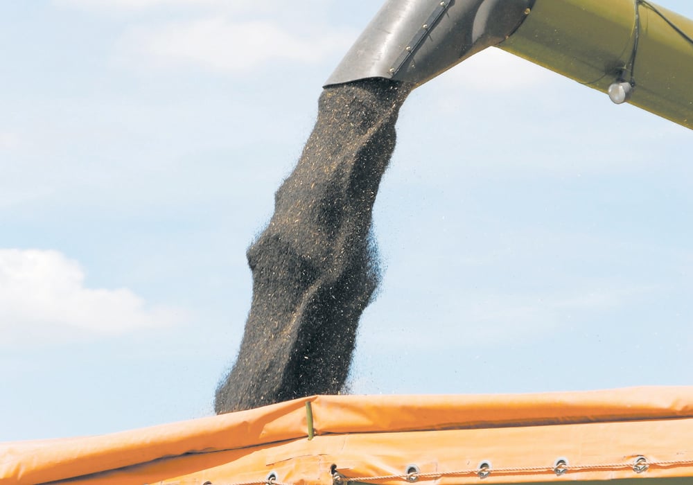 The Asian giant purchased about 5.1 million tonnes of the oilseed for the Chinese crop year ending this month, according to the United States Department of Agriculture. | File photo