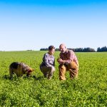 As the younger generation gets more involved in the farming operation, and the long-term plan is that they want to farm, they need independence and experience to start building their equity. | Getty Images