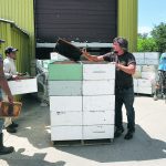 Simon Lalonde, middle, seen here in a file photo taken on his farm in 2020, says selling into the high-priced Japanese honey market has become difficult since packers in that country started testing for quinclorac. | File photo