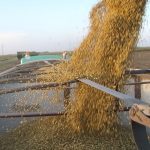 Commodity markets, however, wait for no one and, like our politics, grain futures have been slipping, sliding and slouching since early summer. | File photo