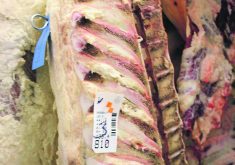 The United Kingdom doesn’t accept Canadian food safety standards, which causes problems for meat exporters.  |  File photo