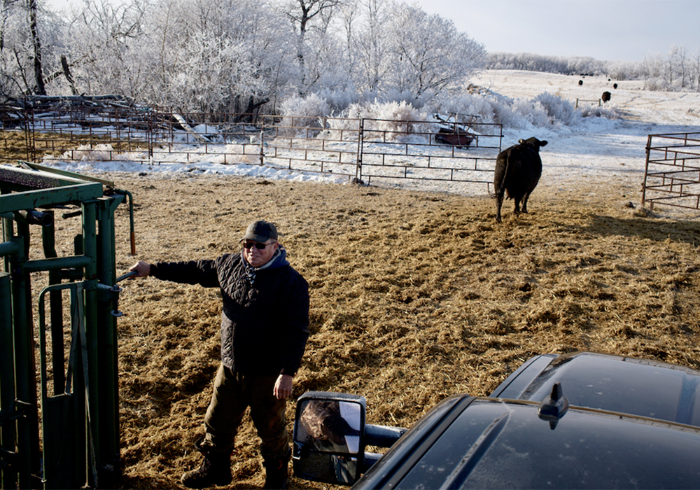 After 65 years in the industry, Terry Lerat is right at home working with and talking about cattle. | Jessica Nixon photo