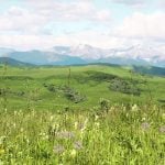 It makes no sense to conduct coal mining that could potentially contaminate water used by farmers, ranchers and irrigation across southern Alberta, said High River mayor Craig Snodgrass. | File photo