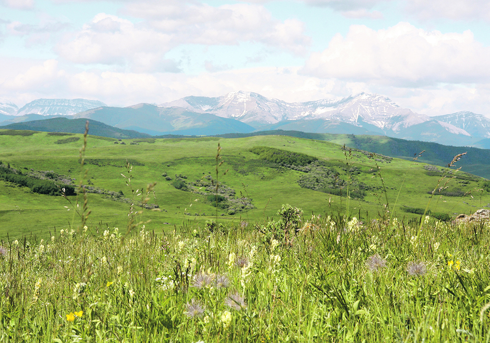 It makes no sense to conduct coal mining that could potentially contaminate water used by farmers, ranchers and irrigation across southern Alberta, said High River mayor Craig Snodgrass. | File photo
